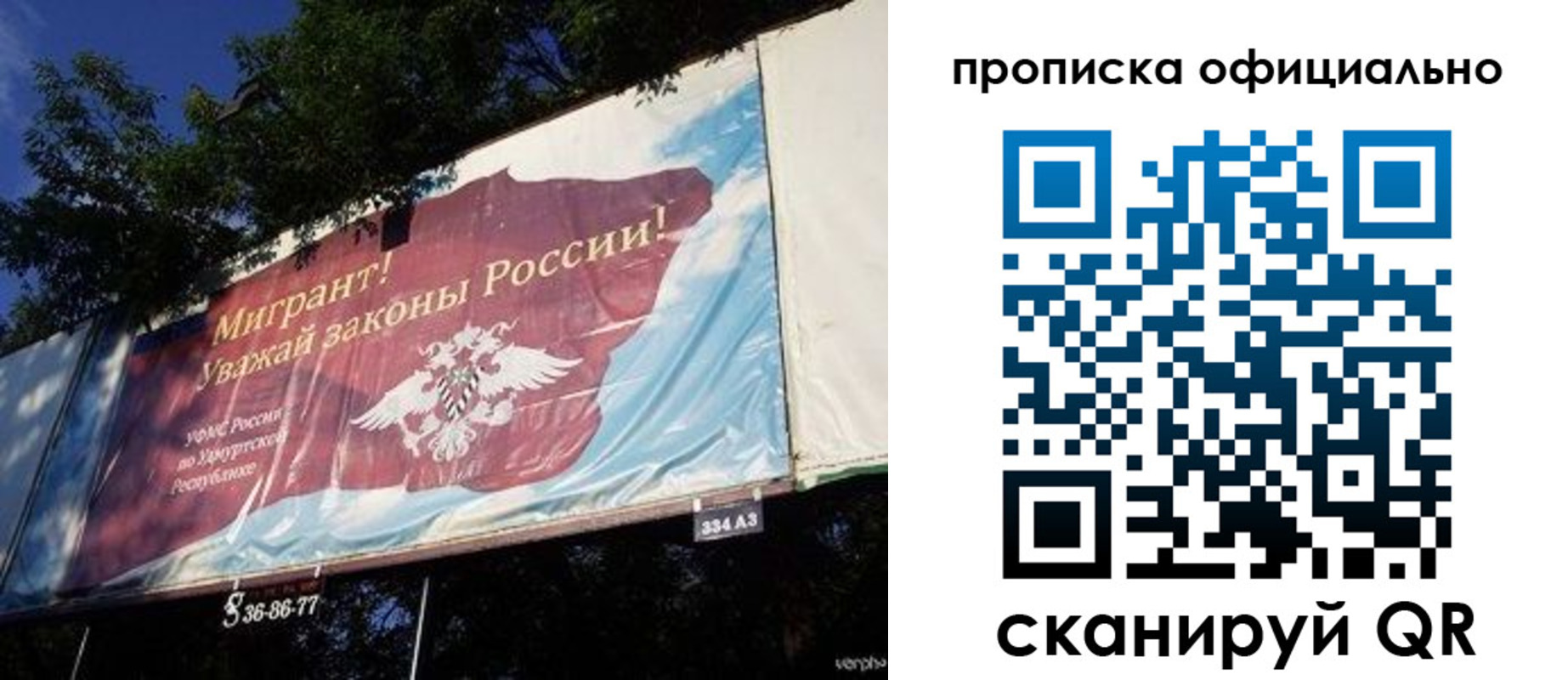 временная регистрация поиск в Щиграх
